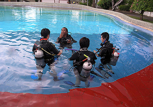 Beginner Diver Course