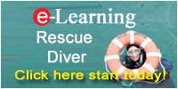 PADI Rescue Online Course
